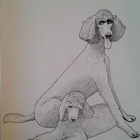 Katie and tyson