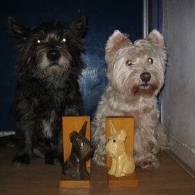 Hondenfoto van Heidi & Noortje