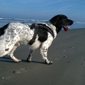Vandaag naar Schier geweest! 11-11-2014