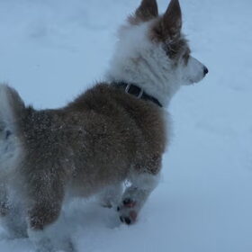 sneeuwpret 2009/2010 (1)