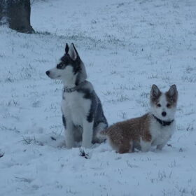 samen in de sneeuw
