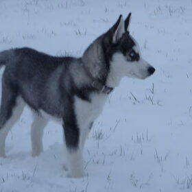 sneeuwpret 2009/2010 (3)