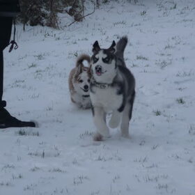 sneeuwpret 2009/2010 (4)