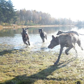Heerlijke wandeling in Budel