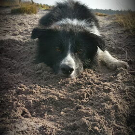Al weer 2 jaar!
