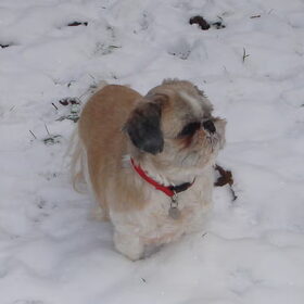 Lekker in de sneeuw.