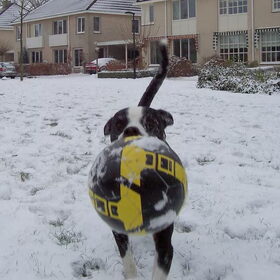 Groot plezier in de sneeuw! : - )