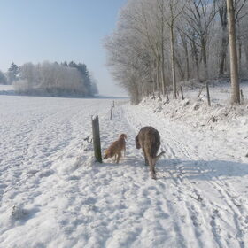 Hondenfoto van Jeanine :)