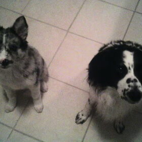 Bruno & Charlie