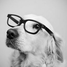 Amber als model. Deze foto heeft mijn man gemaakt die…