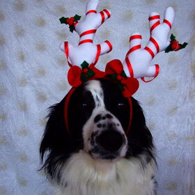 07-12-2014, klaar voor Kerst!