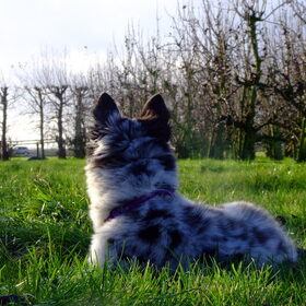 Charlie, 11-12-2014