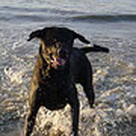 Hondenfoto van Erika & Faya  ?BRL?