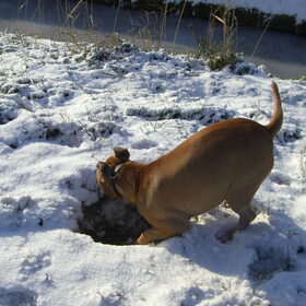 Schat graven!