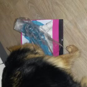 Sam's snuffelbox :)