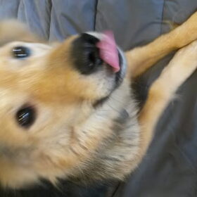 Ssnnoeppjjuuhhh!!