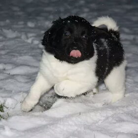 Eerste keer in de sneeuw