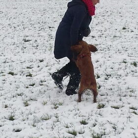 Hondenfoto van Rachelle & Hummie 