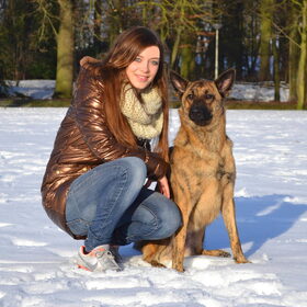 Hondenfoto van Dutchshepherdteam 