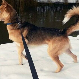Jairo in de sneeuw
