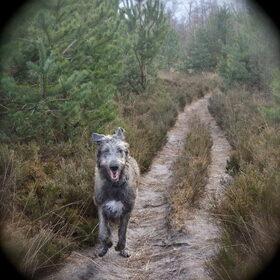 Hondenfoto van Jeanine :)