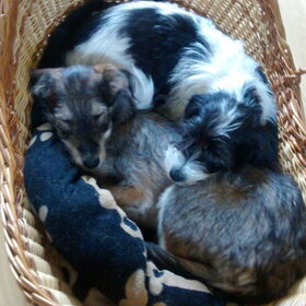 Fien en Nina