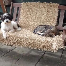 samen op de schommelbank in de tuin.