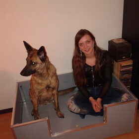 Hondenfoto van Dutchshepherdteam 