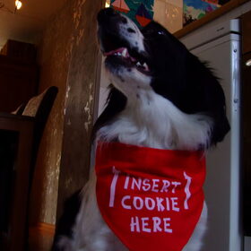 Kom maar op met die cookies! O:)