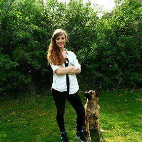 Hondenfoto van Dutchshepherdteam 