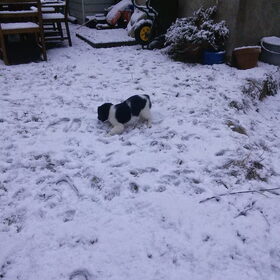 week 10: sneeuw