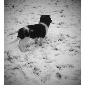 week 10 sneeuw