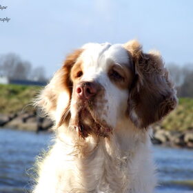 Oefenshoot 24-01-2015