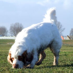 Oefenshoot 24-01-2015