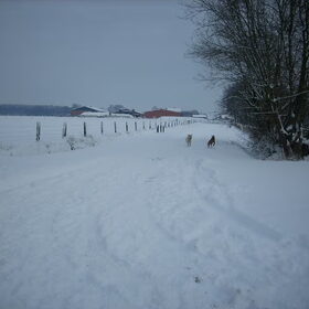 Lopen...lopen...lopen...dat doe ik het liefst.