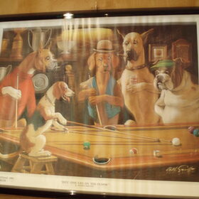 Deze hing ook in een PUP, in Ierland