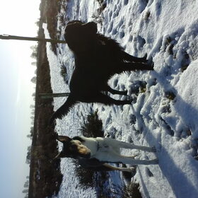 Hondenfoto van Liza, (Chiva) Lexi & Elza 