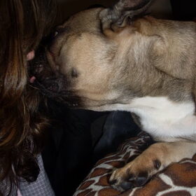 Hondenfoto van Roxanne en het bulletje Cupid :D