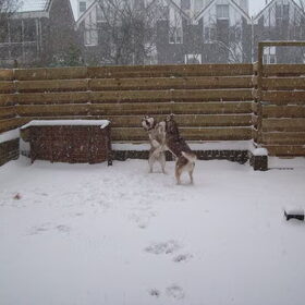 Sneeuwpret!!!!