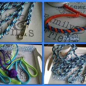 Riemen, jachtlijnen, halsband en speeltjes