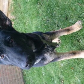 Mag ik in de tuin graven :D Nee Buddy dat mag niet! Oh jammer :)…