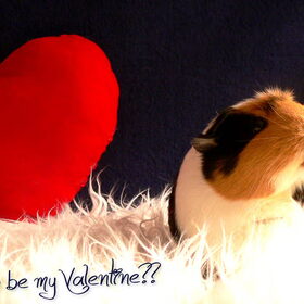 14-02-2015, happy Valentine!