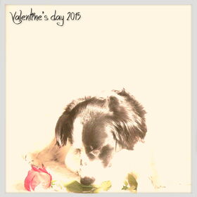 14-02-2015, happy Valentine!