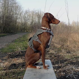 Even lekker op het bankje langs het spoor :)