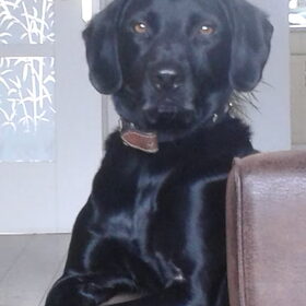 Statie-foto :)