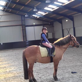 Hondenfoto van Tineke *Luna * Rambo (Brutus R.I.P)