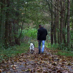 Hondenfoto van Angelique; Bruno, Charlie & Fenna  