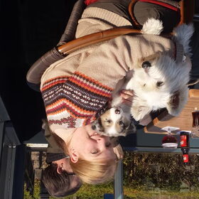 Hondenfoto van Sandra, Mecx en Fenne.