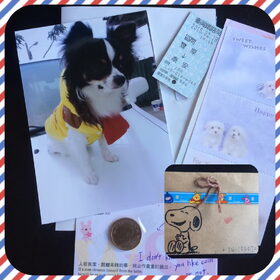 Postcrossing ontvangen uit Taiwan