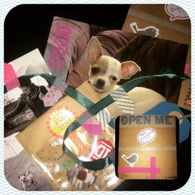 Postcrossing